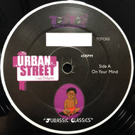URBAN STREET SOUL ORCHESTRA / SLICE OF LIFE