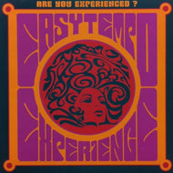 V.A. / EASY TEMPO EXPERIENCED - ARE YOU EXPERIENCED?