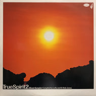 V.A. / TRUE SPIRIT 2