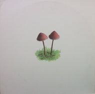 V.A. / MUSHROOM JAZZ 2
