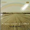 VINCENT GALLO / WHEN