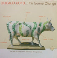 V.A. - C / CHICAGO 2018...IT'S GONNA CHANGE