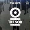 V.A. - T / TRUE SPIRIT PART 1