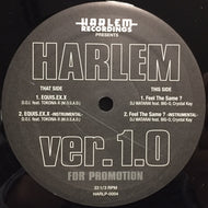 V.A. - H / HARLEM VER 1.0 - EQUIS.EX.X  / FEEL THE SAME ? - REMIX
