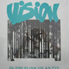 VISION / IN THE BLINK OF AN EYE