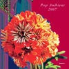 V.A. - P / POP AMBIENT 2007