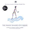V.A. - T / THE MANY SHADES OF CAJUAL