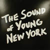 V.A. - T / THE SOUND OF YOUNG NEW YORK
