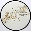 VINCE WATSON / EMOTION SAMPLER EP
