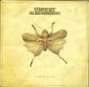VINCENT MARKOWSKI / THE MADNESS OF MOTHS