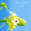 V.A. - P / POP AMBIENT 2002