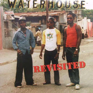 V.A. (HALF PINT, JUNIOR REID) / WATER HOUSE REVISITED