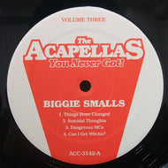 V.A. (NOTORIOUS BIG, 2PAC) / THE ACAPELLAS  YOU NEVER GOT! VOL.3