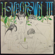 V.A. (MARVIN FRANKLIN WITH KIMO AND THE GUYS) / HOME GROWN 3