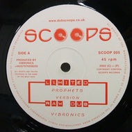 VIBRONICS / PROPHETS