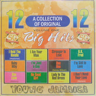 V.A. (HEPTONES, ALTON ELLIS) / YOUNG JAMAICA A COLLECTION OF 12 ORIGINAL BIG HITS