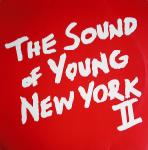 V.A. (FAINT、!!!、I:CUBE etc.) / THE SOUND OF YOUNG NEW YORK II