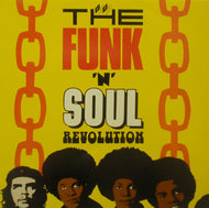 V.A. (RARE PLEASURE, S.O.U.L.) / THE FUNK 'N' SOUL REVOLUTION
