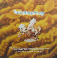 V.A. (FATBOY SLIM, CHEMICAL BROTHERS etc...) / TRIPHOPRISY