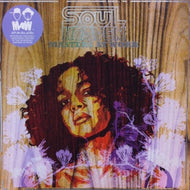 V.A. (BLAZE, RONI SIZE etc...) / SOUL HEAVEN PRESENTS MASTERS AT WORK