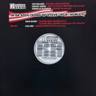 V.A. (TENE WILLIAMS, CHANTAY SAVAGE etc...) / IN DA SOUL