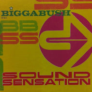 V.A. (LIGHTNING HEAD , PABLO) / BIGGA BUSH - SOUND SENSATION