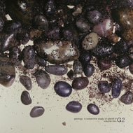 V.A. / GEOLOGY A SUBJECTIVE STUDY OF PLANET E VOL.2