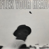 V.A. (TEEN IDOLS,MINOR THREAT) / FLEX YOUR HEAD