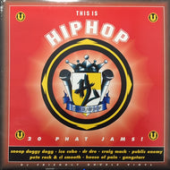 V.A. (DR DRE, GANGSTARR, WU TANG CLAN) / THIS IS HIP HOP - 20 PHAT JAMS!