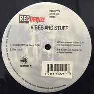 VINYL REANIMATORS / VIBES AND STUFF