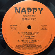 V.A. (MARY J. BLIGE, MOBB DEEP, ICE CUBE) / NAPPY DUGOUT RE 