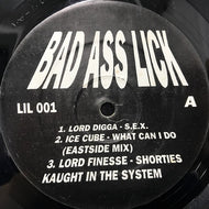 V.A. (LORD DIGGA, LORD FINESSE, A TRIBE CALLED QUEST) / BAD ASS LICK
