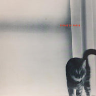 V.A.(ヤン富田、KATRA TURANA) / ECHOES OF YOUTH