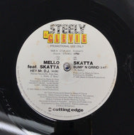 V.A. （Mello ft Skatta, Sharon Forrester） / Hey Mr. D.J. / Sweet Lover