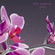 V.A. (STEPHAN MATHIEU. ORB) / POP AMBIENT 2016
