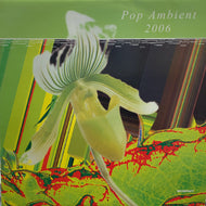 V.A. (The Orb, Mikkel Metal, Markus Guentner) / POP AMBIENT 2006