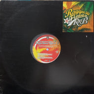V.A. (AQUA PROJECT) / RAGGA FLAVOR R&B EP 3