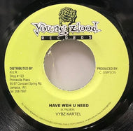VYBZ KARTEL / Have Weh U Need