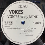 VOICES / Voices In My Mind