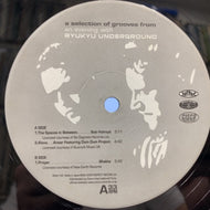 V.A. (BOB HOLROYD, ANSAR, 琉球アンダーグラウンド) / An Evening With Ryukyu Underground