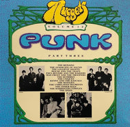V.A. (Syndicate Of Sound, Remains) / Nuggets Volume 12 Punk Part Three