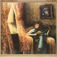 VAN MORRISON / T.B. Sheets