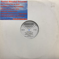V.A. (MISTA, RALPH TRESVANT) / Sweet Blissful Groove