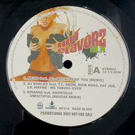 V.A.(DJ Khaled, Rihanna, Bone Thugs-N-Harmony) / Hot Flavorz Vol.14
