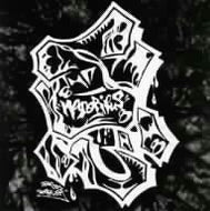 V.A. (ZEEBRA, DJ KENSEI, GK MARYAN etc...) / 続・悪名