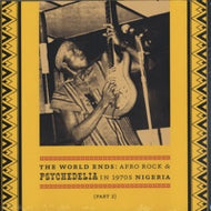 V.A. - T / THE WORLD ENDS : AFRO ROCK & PSYCHEDELIA IN 1970S NIGERIA PART 2