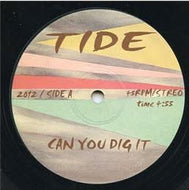 V.A.(TIDE) / CAN YOU DIG IT / DISCO FOXX