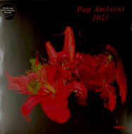 V.A (Blank Gloss, Yui Onodera, Thore Pfeiffer) / Pop Ambient 2021