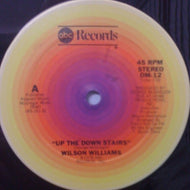 WILSON WILLIAMS / UP THE DOWN STAIRS