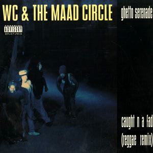 オリジナル ✯ WC and Maad Circle ✯ LP アナログ WC And The Maad Circle – The One – Vinyl (12